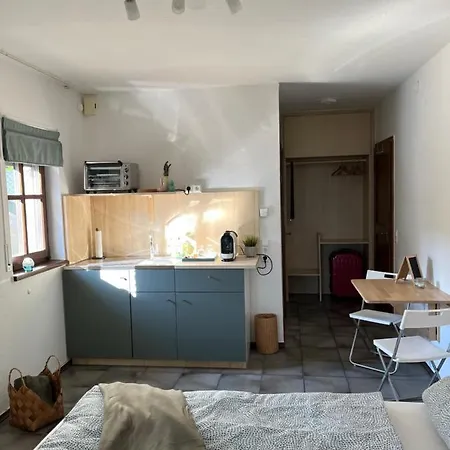 1 Zimmer Whg Waldfischbach Extérieur photo